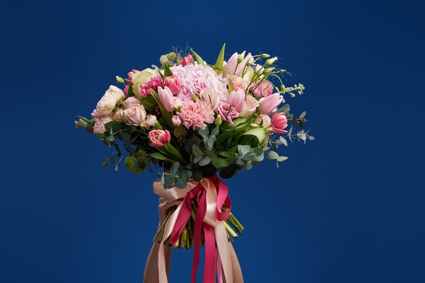 Pink peony and rose bouquet on dark blue background